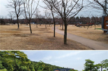 인천시, 월미공원에 사계절 정원과 대나무 바람숲길 조성 완료