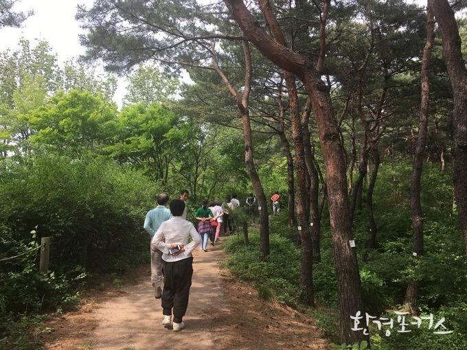 남산 소나무힐링숲
