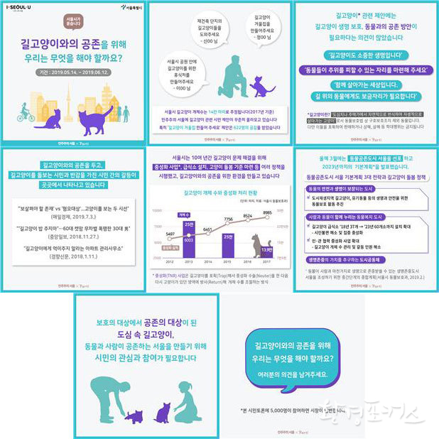 민주주의서울<시민토론> 길고양이 관련 카드 설명