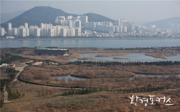낙동강하구 철새도래지 전경