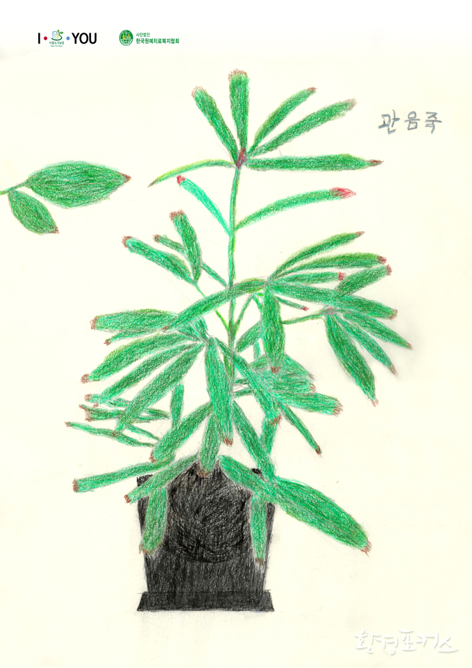 반려식물 주제 작품(2019년, 그림)