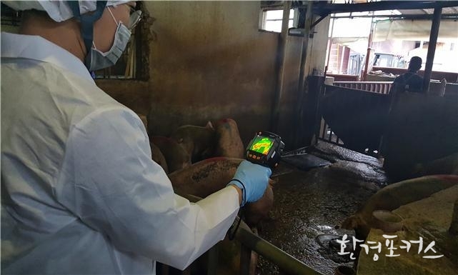 열화상 카메라를 이용한 아프리카 돼지열병(ASF) 모니터링 사진