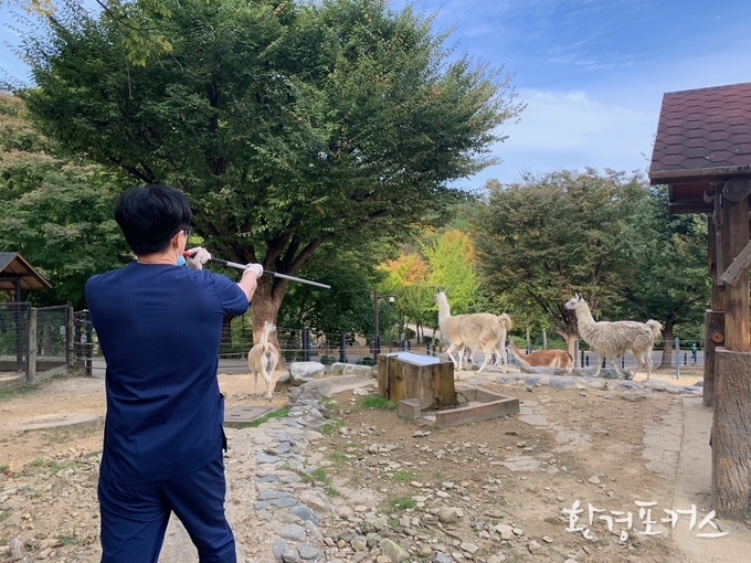 구제역 접종 이미지