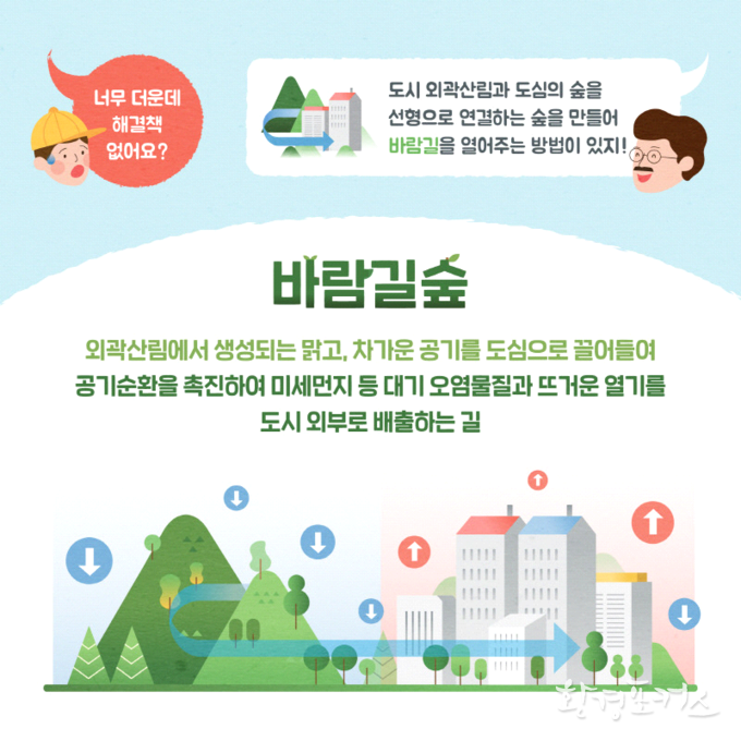 바람길숲 도입 배경·개념 및 기능과 유형