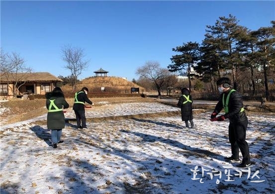 월미공원 야생조수 먹이주기 사진