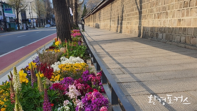 꽃길조성 사례 사진 - 종로구 효자로