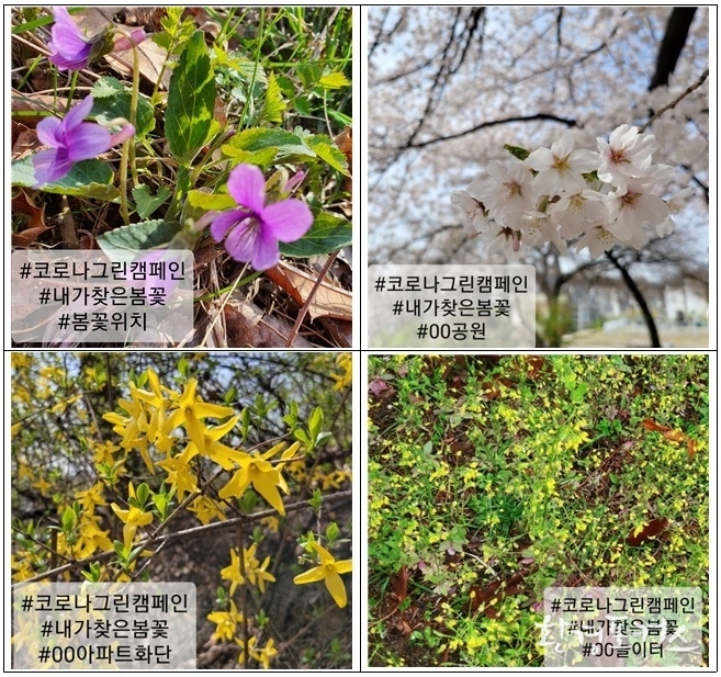 이벤트 샘플 사진