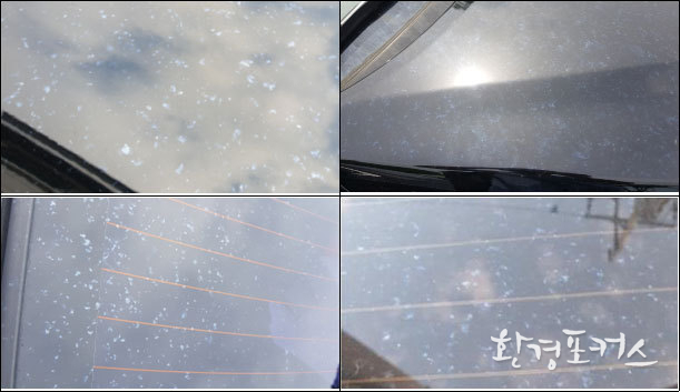 피해 차향 현황