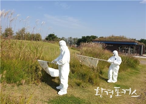 플래깅(Flagging)법으로 진드기를 채집하는 모습