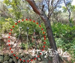 도시 숲 기능성 조사 시료채취 전경 - 계양근린공원