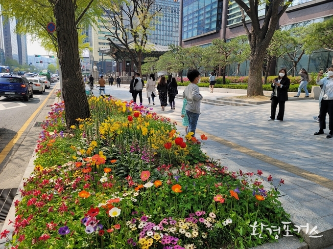 봄꽃거리 조성 사례사진 - 종로구 종로 가로화단
