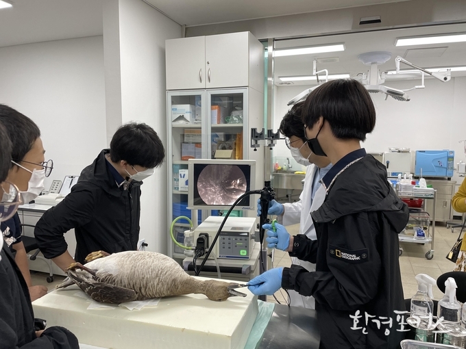 야생동물 생태교육 사진