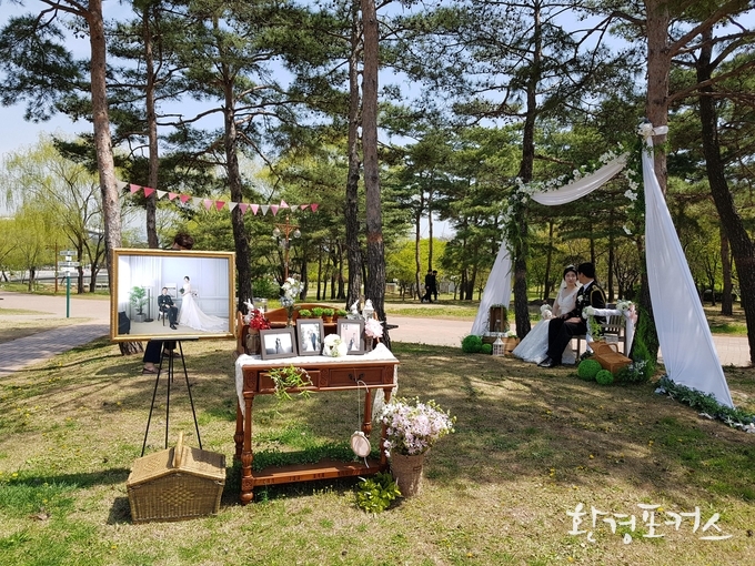 소풍결혼식 전경 사진