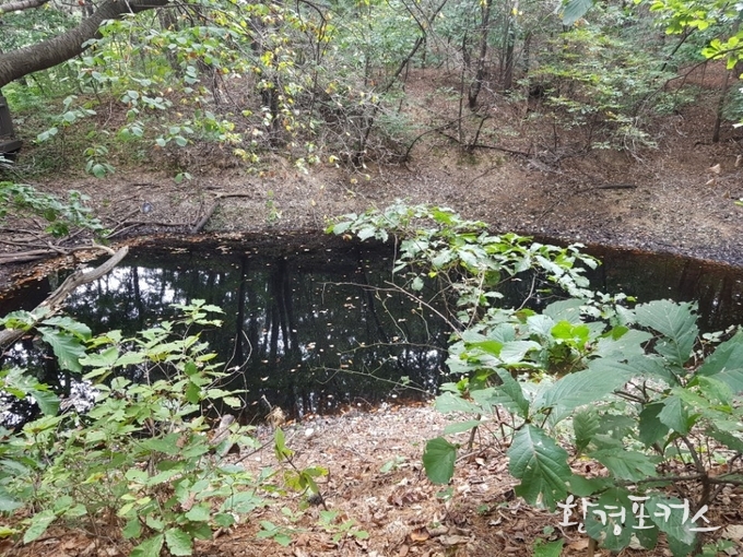 자료사진 환경포커스