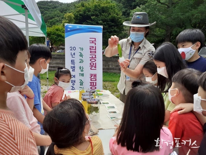 야영장 자연체험