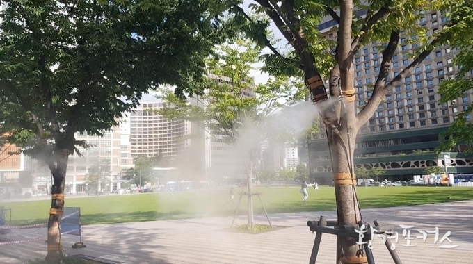 시청광장 쿨링포그 현장사진