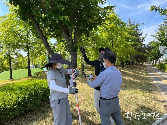 도시수목의 탄소흡수량 조사사업 현장조사 전경
