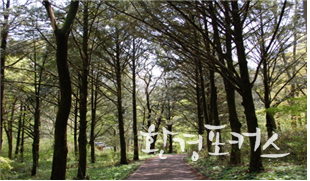 환경포커스 자료 사진