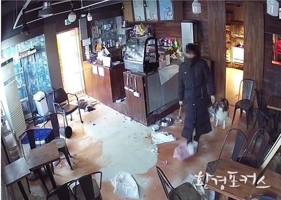 동물카페 업주가 망치를 손에 들고 있는 장면