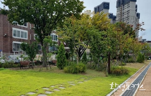 학교숲 전경(부광여자고등학교)