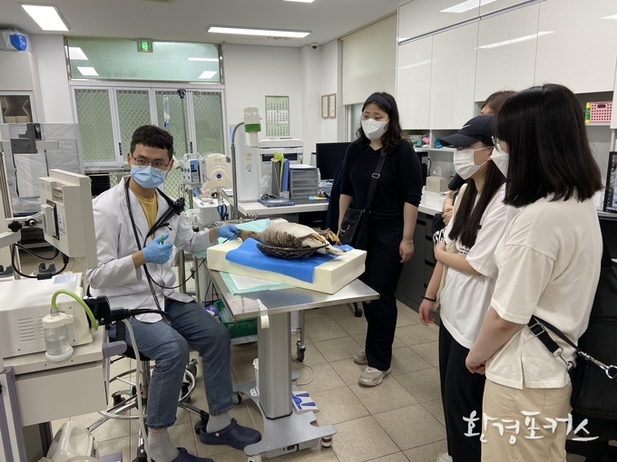 야생동물 생태 교육 사진