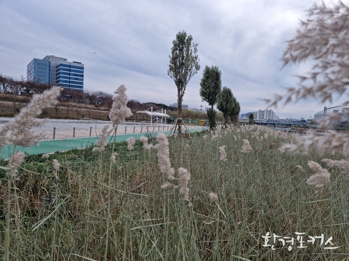 환경포커스 자료 사진 제공