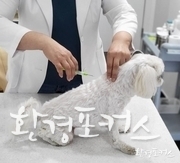 자료사진 환경포커스