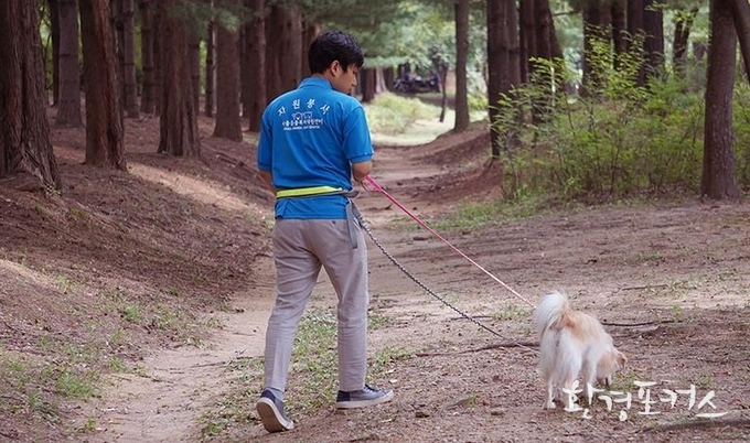 동물보호 홍보 및 지도 점검 현장사진