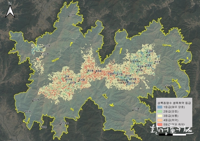 지리산 아고산대 상록침엽수 생육 취약지구 평가 결과