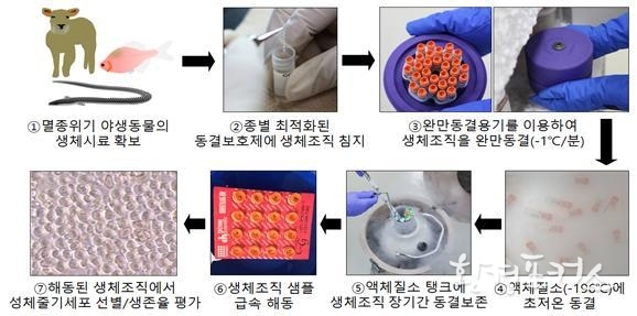 동결보존 기술이 확립된 멸종위기 야생동물 사진