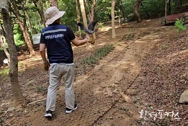 자연으로 돌아가는 초롱이