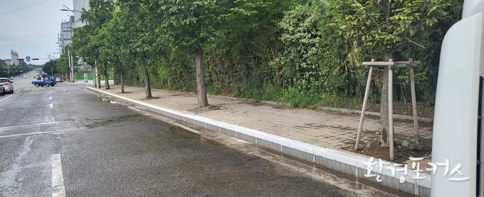 설치 모습