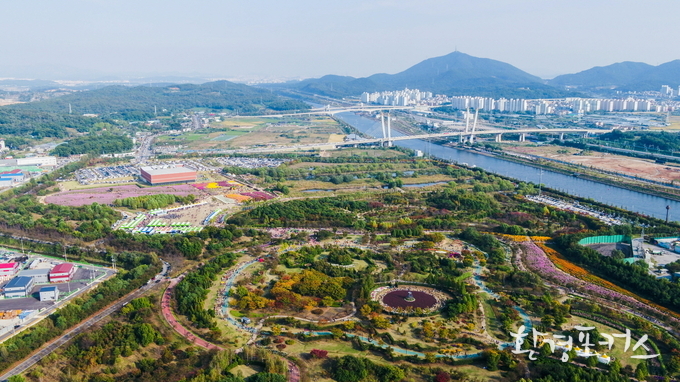 과거 국화 축제 사진 수도권매립지관리공사 제공