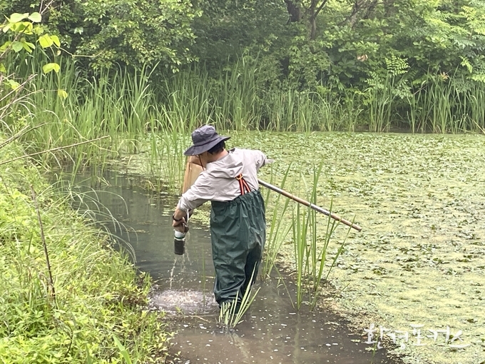핸드네트(hand net)를 이용한 채집(이화여대 정종우 교수 연구팀) 국립생물자원관 제공