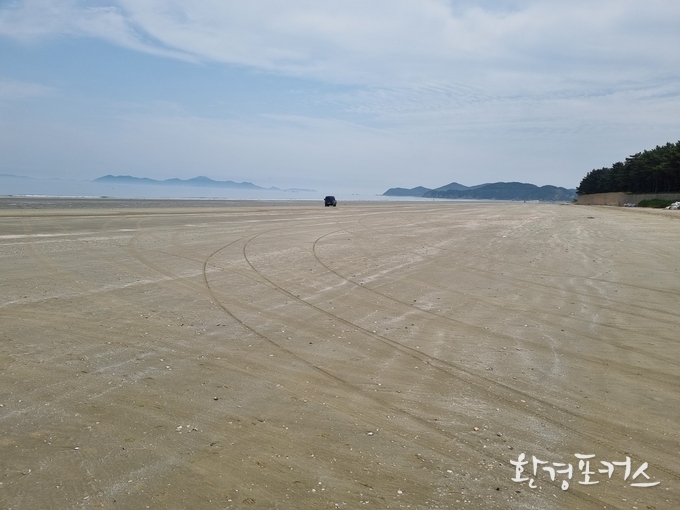 자료사진 환경포커스 제공