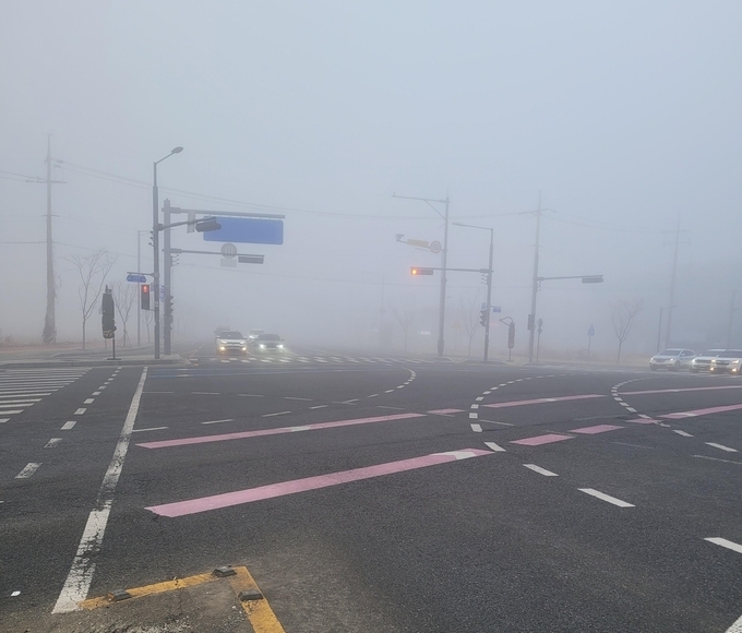 자료사진 환경포커스 제공