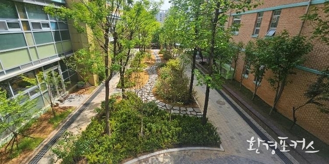 남동구 남동고등학교 학교숲(2025년 조성)