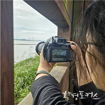 시화호 탐조 활동