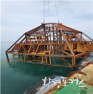 강제고기굴어초