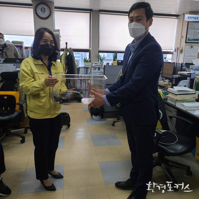 한국남생이보호협회, 불법 포획된 천연기념물 남생이 구조....