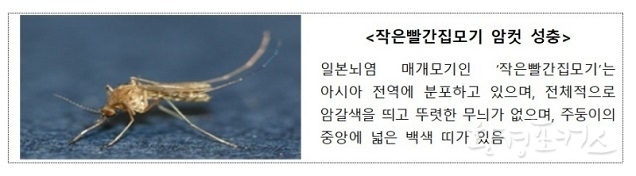 전국에 일본뇌염 경보 발령…예방접종 권고