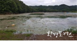 전국 댐 하천 부유물 5만㎡ 유입돼 몸살