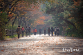 가을 더욱 설레는 '남산둘레길 걷기 축제' 개최