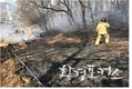 가을철 산불조심기간’ 산불예방 총력대응 추진