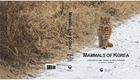 한반도 포유류 127종 정보 다룬 영문 도감 ‘매멀즈 오브 코리아(Mammals of Korea)’ 발간