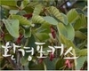 해외 야생식물 산업화 이익공유 계약, 국내 첫 최초 체결