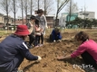 서울어린이대공원, ‘텃밭 프로그램’ 참가희망 100여 가족 11일부터 모집
