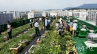 서울시, 서울시내 205개소에 '서울형 도시텃밭' 조성