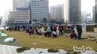 서울시, 서울광장 봄맞이 새 잔디 전면 식재