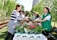 서울시, ‘서울, 꽃으로 피다’ 공동 캠페인 서울광장에서 개최